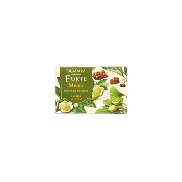 FORTE MEMO - ERBAMEA - immagine 2