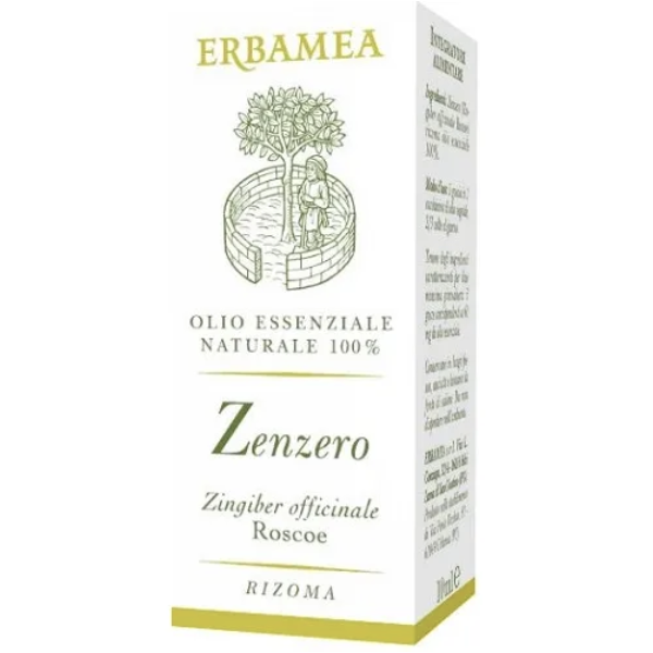 ZENZERO - OLIO ESSENZIALE -  ERBAMEA - immagine 2