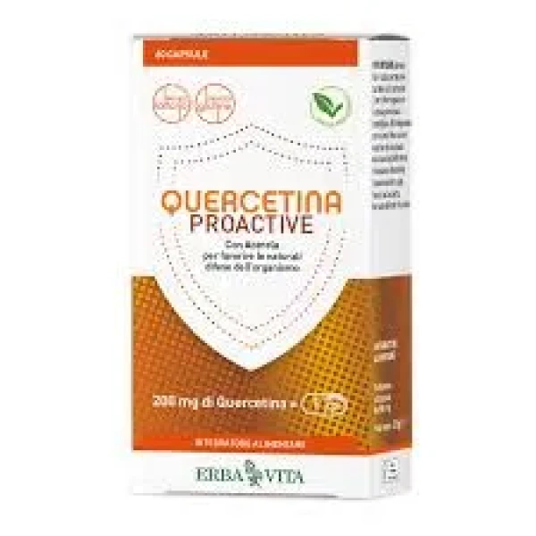 QUERCETINA PROACTIVE ERBA VITA - immagine 2