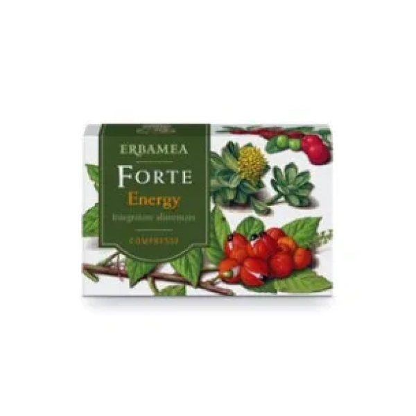 FORTE ENERGY - ERBAMEA - immagine 2