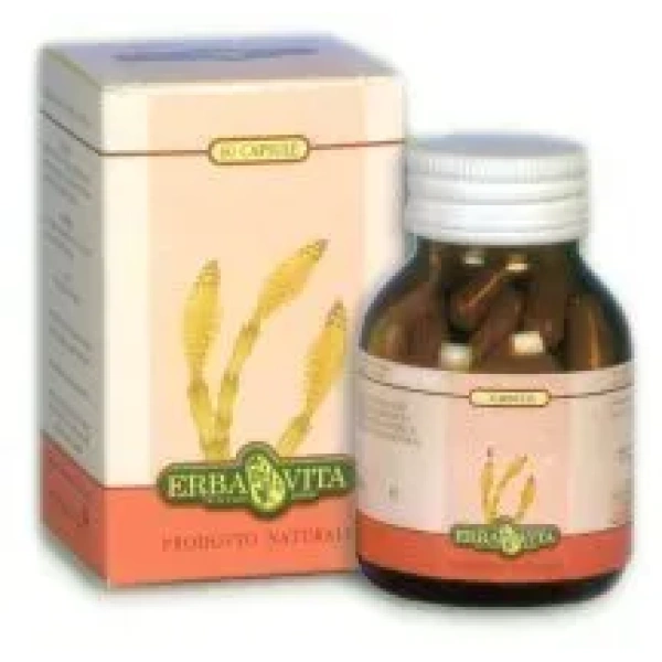 GINSENG CAPSULE ERBAVITA